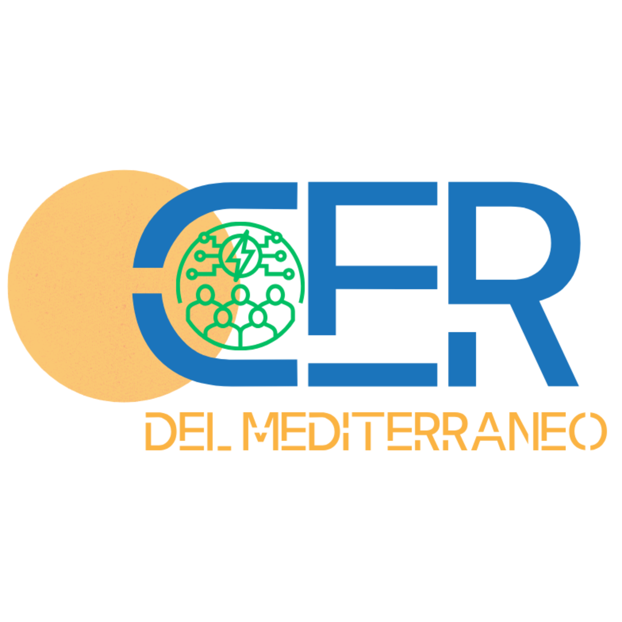 Logo CER MED